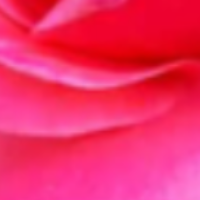 Parveen Shakir - Tutor  at etutors.pk