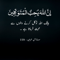 Wajiha Tauqeer - Tutor  at etutors.pk