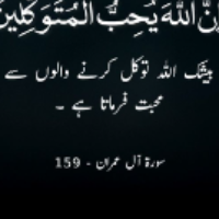 Wajiha Tauqeer - Tutor  at etutors.pk