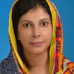 Misbah Aurangzeb - Tutor  at etutors.pk