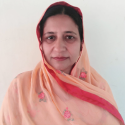Mrs Rabia Noreen - Tutor  at etutors.pk