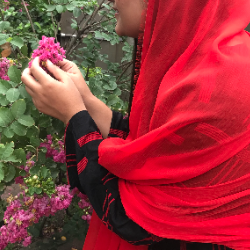 Rimsha Amin - Tutor  at etutors.pk