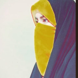 Saira sana - Tutor  at etutors.pk