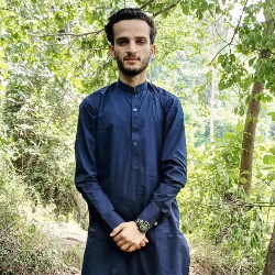 Syed Taimoor - Tutor  at etutors.pk
