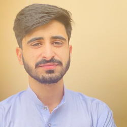 Syed Wasi Hyder Shah - Tutor  at etutors.pk
